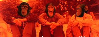Spacemonkeyz