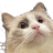 :willowwow: