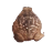 :frogspin: