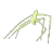 :stickbug: