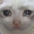 :sad: