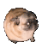 :mick: