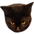 :ozzyangry: