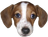 :frankerz: