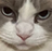 :dontfuckwitme: